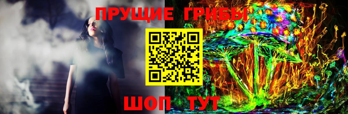 Майкоп  Галлюциногенные грибы прущие грибы  Вход с VPN  Галлюциногенные грибы прущие грибы 